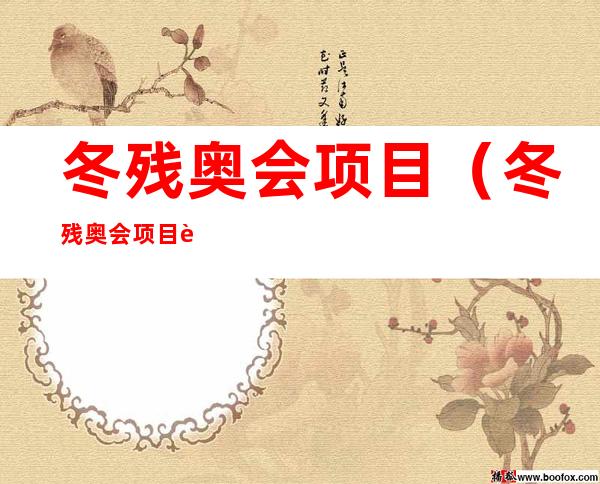 冬残奥会项目（冬残奥会项目赛程）
