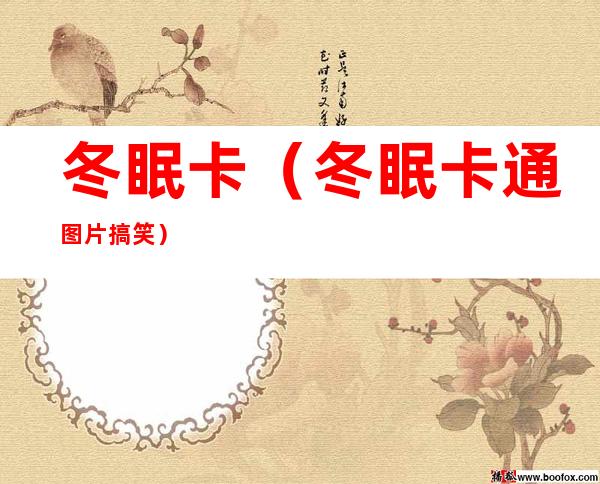 冬眠卡(冬眠卡通图片搞笑)