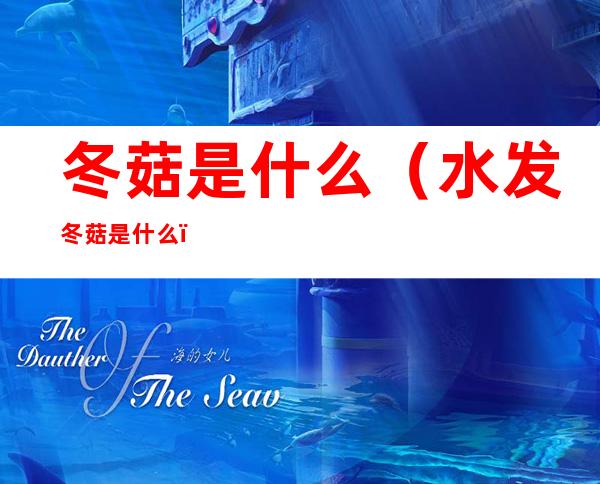 冬菇是什么(水发冬菇是什么)