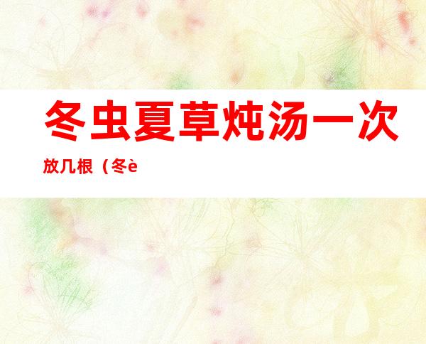 冬虫夏草炖汤一次放几根(冬虫夏草炖汤一般放几根)