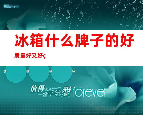 冰箱什么牌子的好质量好又好用(电冰箱什么牌子的质量最好)