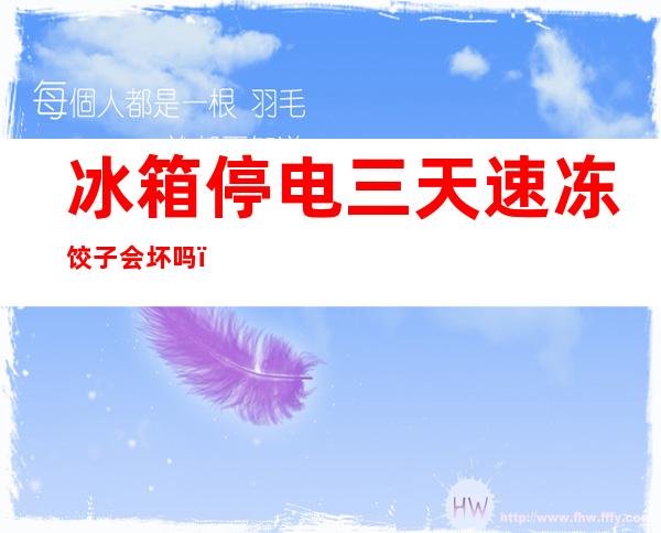 冰箱停电三天速冻饺子会坏吗(冰箱停电48小时饺子会化冻吗)