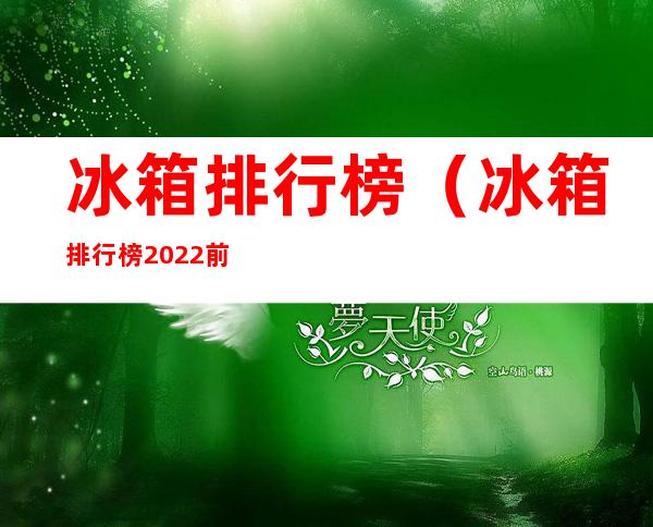 冰箱排行榜(冰箱排行榜2022前十名)