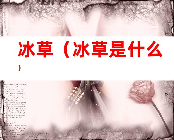 冰草(冰草是什么)