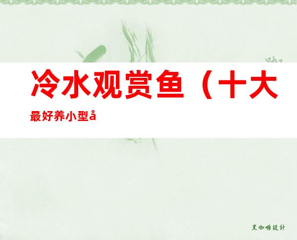 冷水观赏鱼(十大最好养小型冷水观赏鱼)