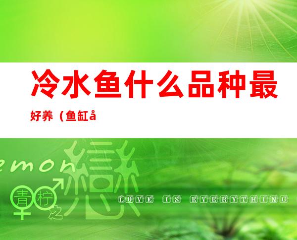 冷水鱼什么品种最好养(鱼缸冷水鱼什么品种最好养)