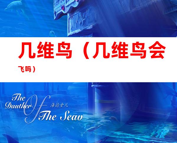 几维鸟(几维鸟会飞吗)