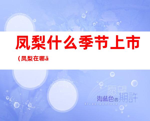 凤梨什么季节上市(凤梨在哪个季节成熟)