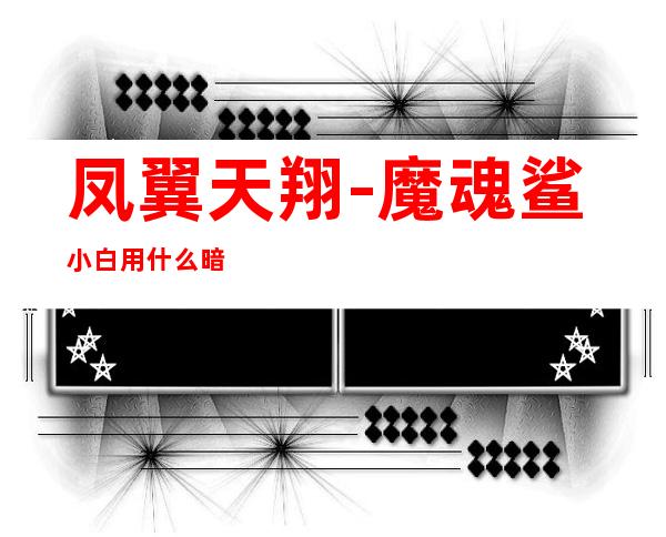 凤翼天翔-魔魂鲨小白用什么暗器
