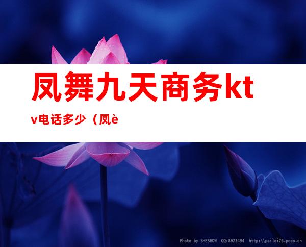 凤舞九天商务ktv电话多少(凤舞九天KTV)