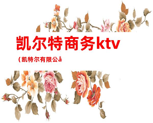 凯尔特商务ktv(凯特尔有限公司)