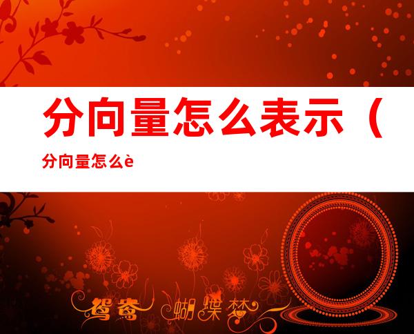 分向量怎么表示(分向量怎么表示出来)