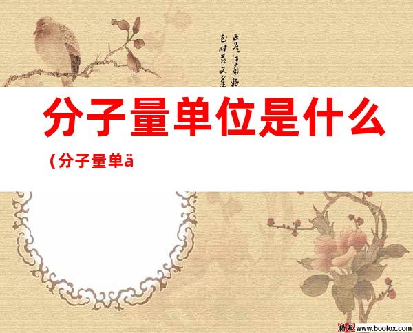 分子量单位是什么(分子量单位是什么意思)
