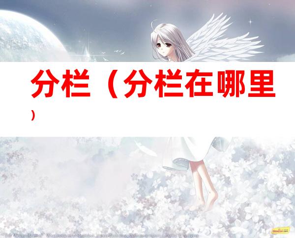 分栏(分栏在哪里)