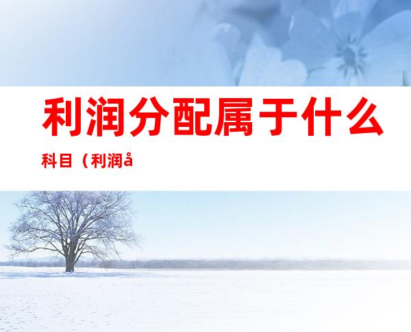 利润分配属于什么科目（利润分配 是什么科目）