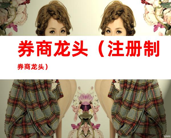 券商龙头(注册制券商龙头)