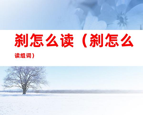 刹怎么读(刹怎么读组词)
