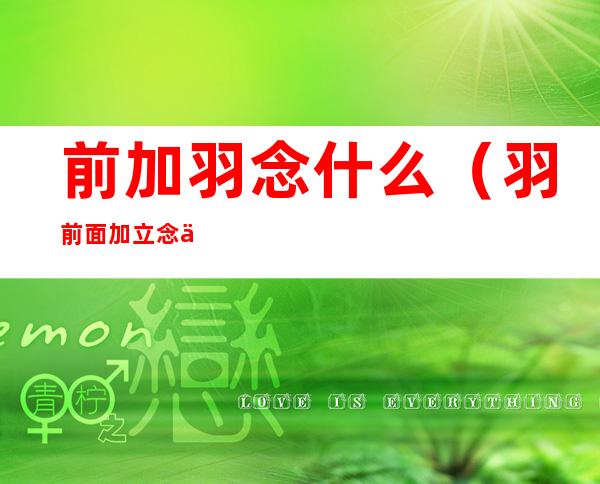 前加羽念什么(羽前面加立念什么)