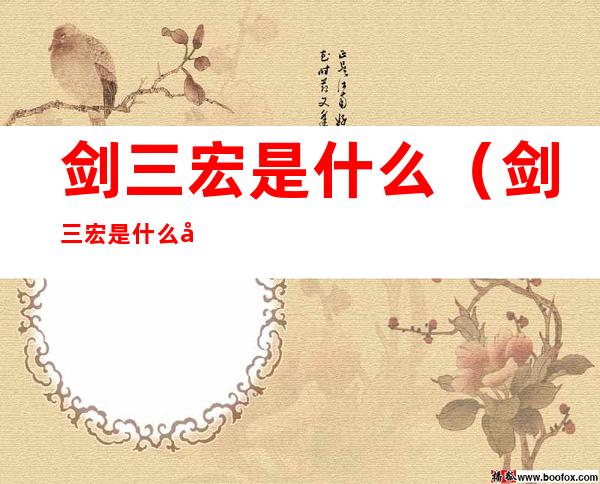 剑三宏是什么（剑三宏是什么原理）
