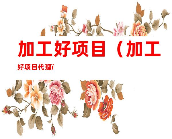 加工好项目(加工好项目代理)