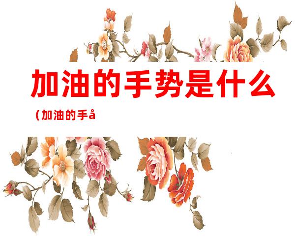 加油的手势是什么(加油的手势是什么样子的)