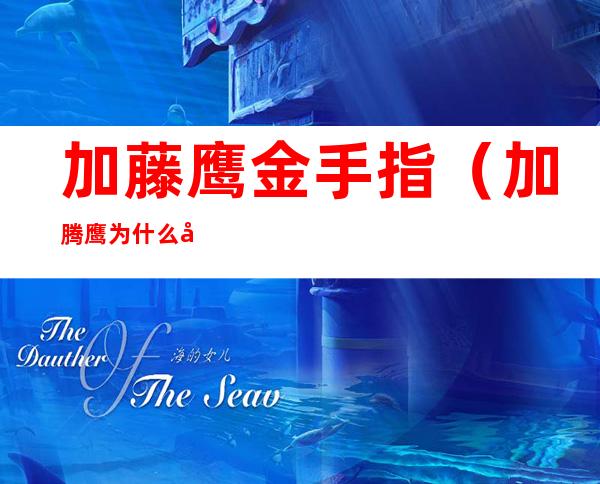 加藤鹰金手指(加腾鹰为什么叫金手指)
