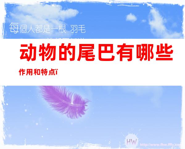 动物的尾巴有哪些作用和特点(动物的尾巴有哪些用处和特点)