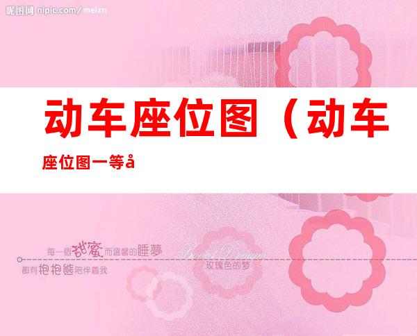 动车座位图(动车座位图一等座)