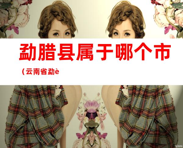 勐腊县属于哪个市(云南省勐腊县属于什么区)