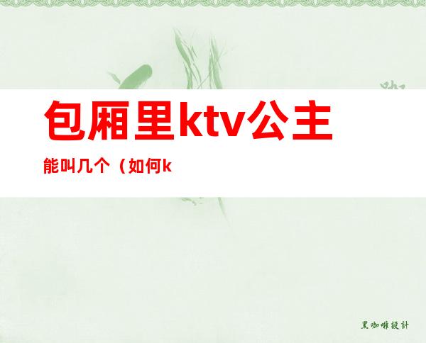 包厢里ktv公主能叫几个(如何ktv内叫公主)