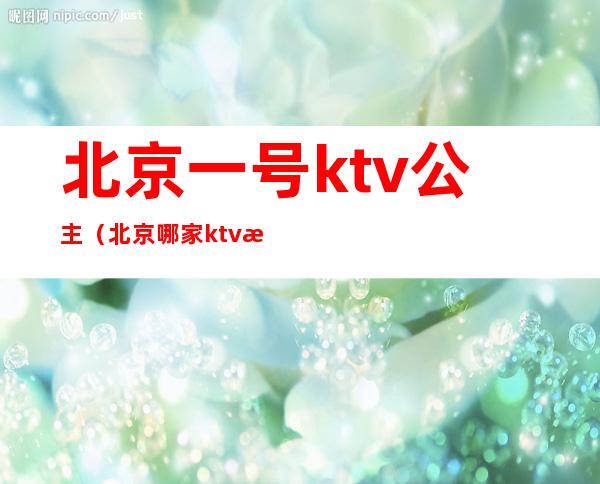 北京一号ktv公主(北京哪家ktv有公主)