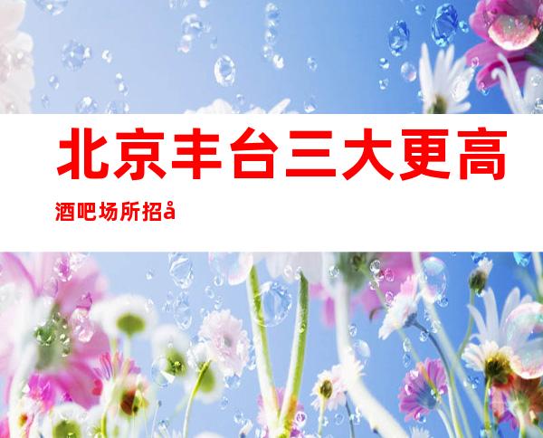 北京丰台三大更高酒吧场所招待聚会必备