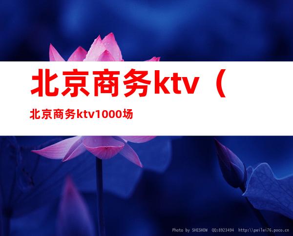 北京商务ktv(北京商务ktv1000场)