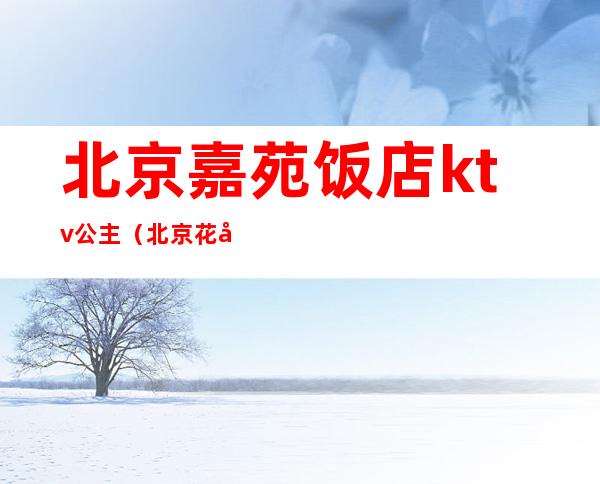 北京嘉苑饭店ktv公主(北京花园饭店ktv公主)