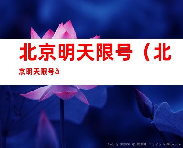 北京明天限号（北京明天限号尾号是字母的呢）