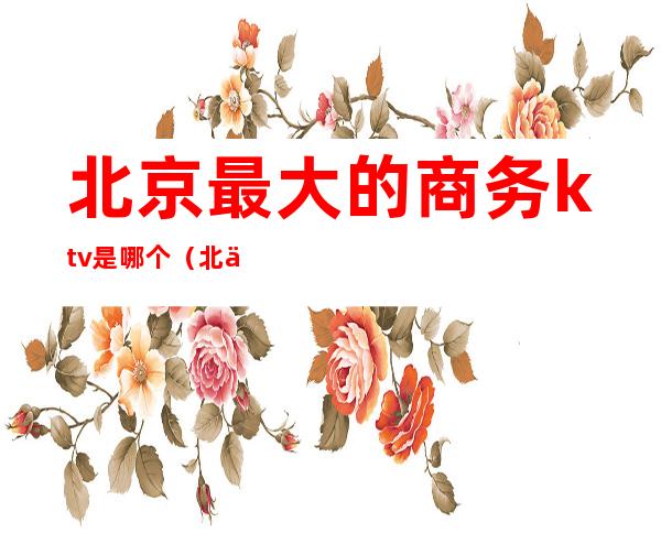 北京最大的商务ktv是哪个（北京商务ktv排行榜）