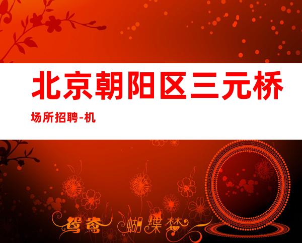 北京朝阳区三元桥场所招聘-机会总是会留给有准备的人