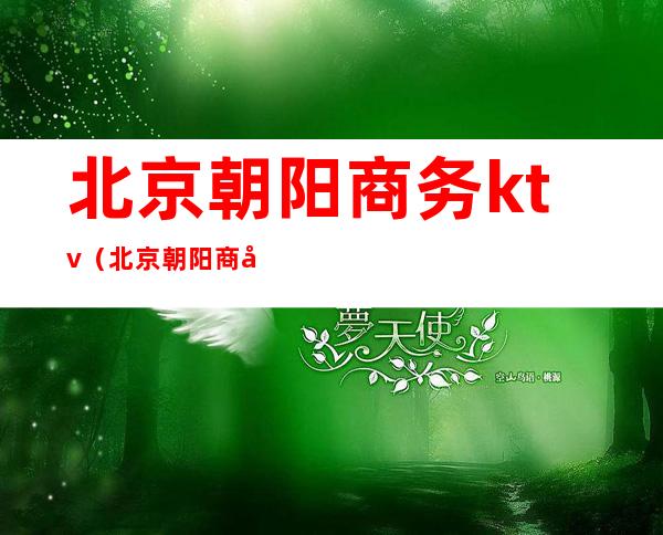 北京朝阳商务ktv(北京朝阳商务KTV)