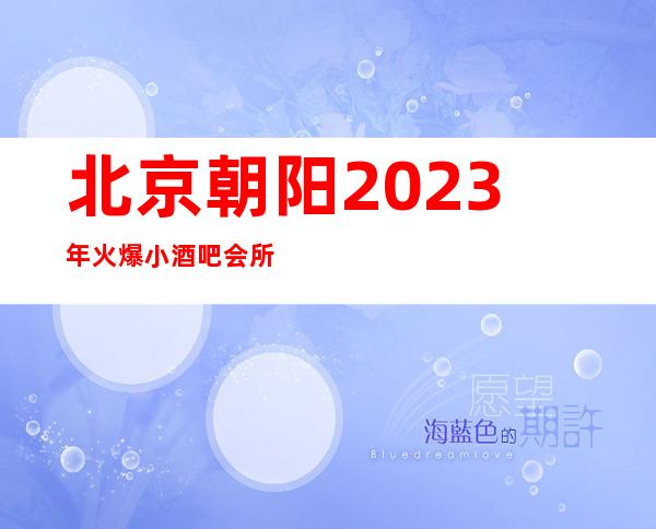 北京朝阳2023年火爆小酒吧会所预订，好玩刺激给力