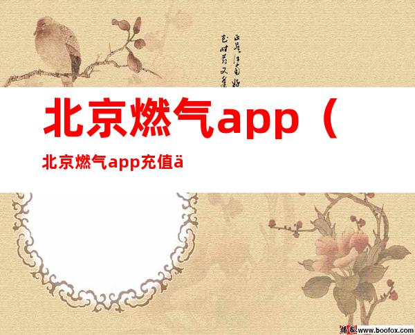 北京燃气app(北京燃气app充值不成功)