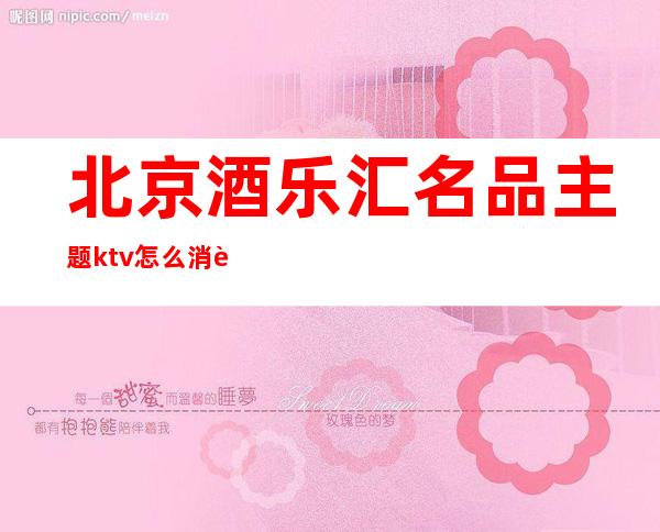 北京酒乐汇名品主题ktv怎么消费(北京酒乐汇名品主题ktv怎么消费的)