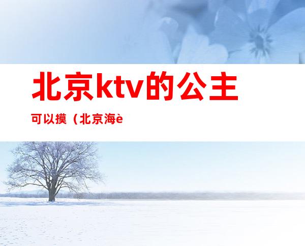 北京ktv的公主可以摸（北京海航ktv公主）