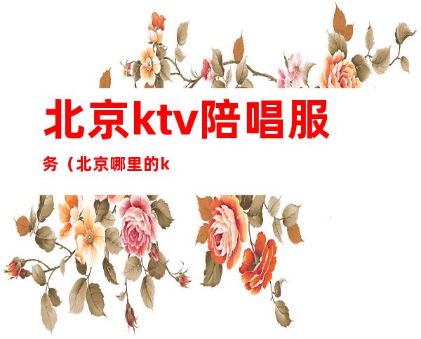北京ktv陪唱服务(北京哪里的ktv有陪唱)