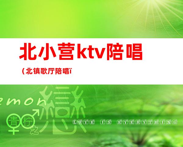 北小营ktv陪唱(北镇歌厅陪唱)