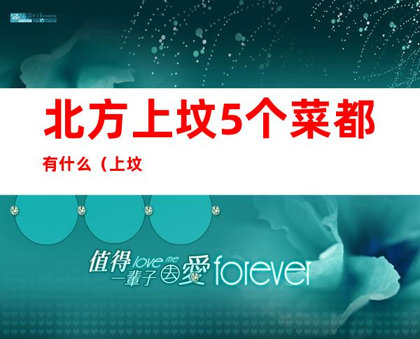 北方上坟5个菜都有什么（上坟五碗菜都有什么）