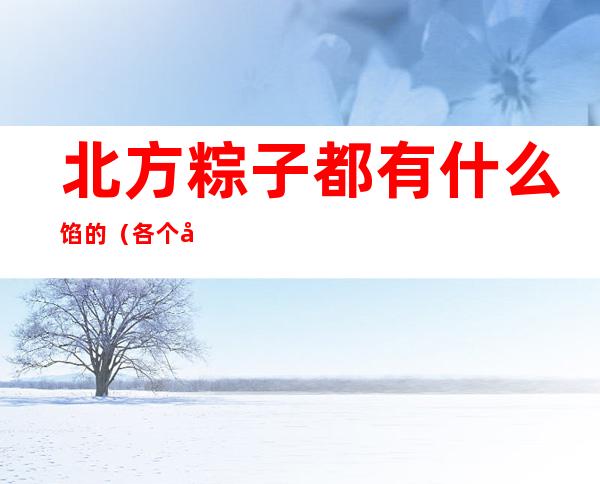 北方粽子都有什么馅的（各个地方的粽子是什么馅的）
