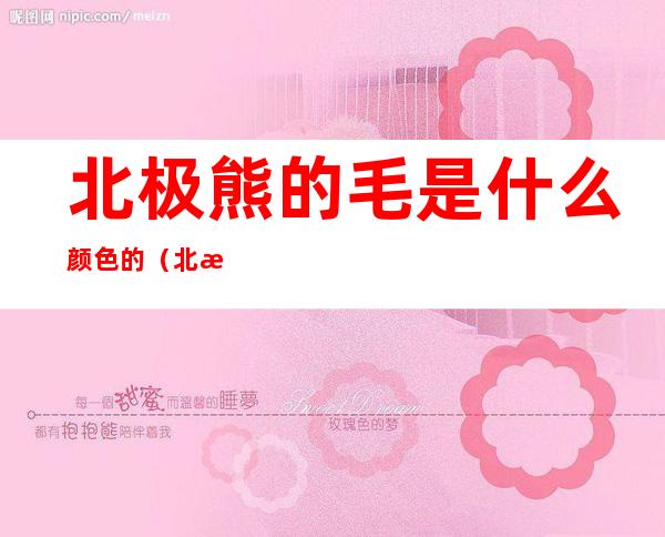 北极熊的毛是什么颜色的(北极熊的毛是什么颜色的图片)