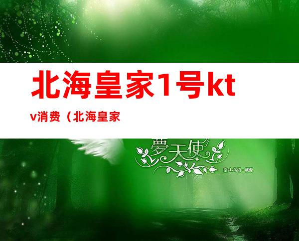 北海皇家1号ktv消费(北海皇家1号ktv消费怎么样)