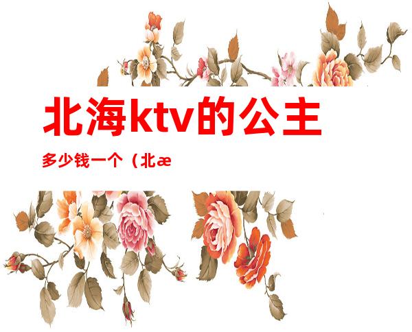北海ktv的公主多少钱一个（北海美丽会ktv公主多少钱）