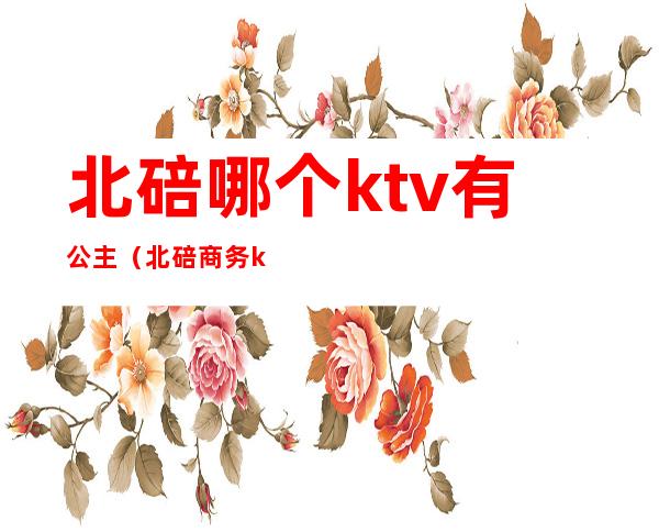 北碚哪个ktv有公主(北碚商务ktv)